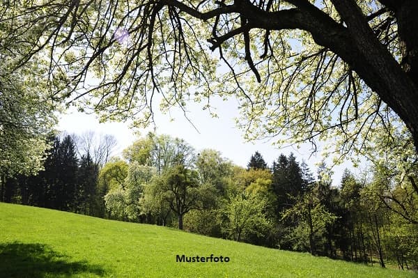 Land-/Forstwirtschaftsfläche