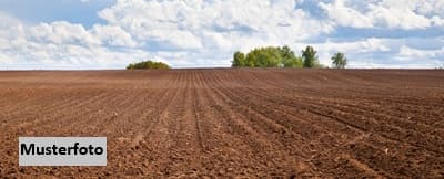 Landwirtschaftsfläche