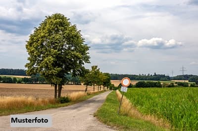 3 unbebaute Grundstücke