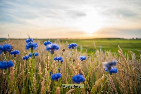 Land- und Forstwirtschaftsfläche