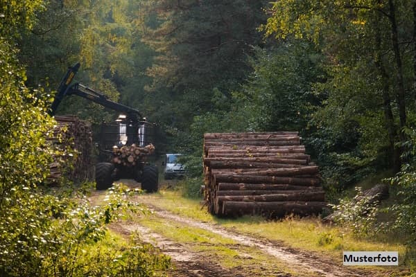 Forstwirtschaftsfläche