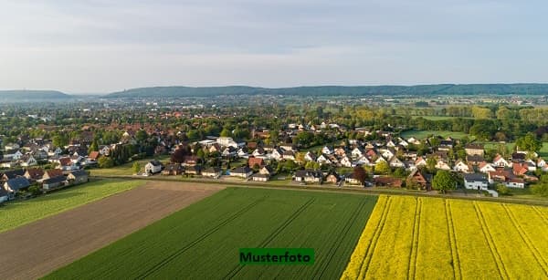 Bewirtschafteter und bestockter Weingarten