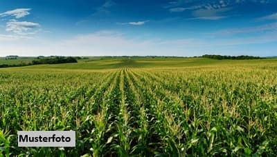 Landwirtschaftsfläche