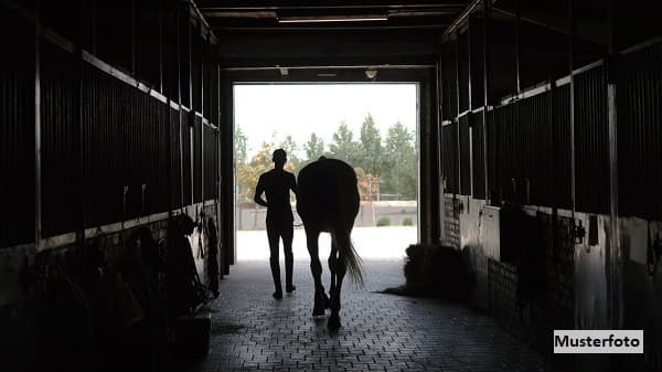 2 Einfamilienhäuser und landwirtschaftliche Betriebsgebäude