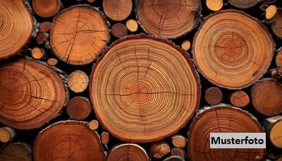 Land- und Forstwirtschaftsfläche - provisionsfrei