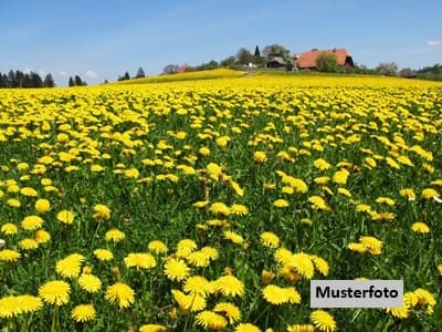 2 Landwirtschaftsflächen