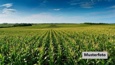 Landwirtschaftsfläche - ohne Provision