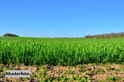 Land-/Forstwirtschaftsflächen