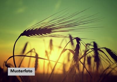 Landwirtschaftsfläche