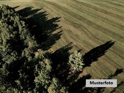 2 Land- und Forstwirtschaftsflächen