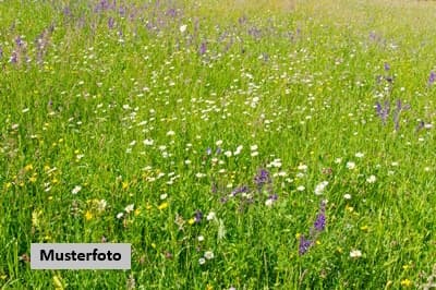 Unbebaute Grundstücke Wiesenflächen mit Altbaumbestand
