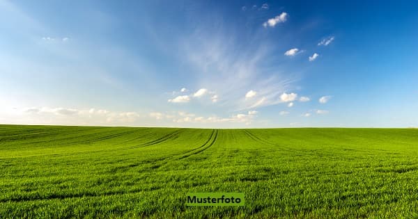 3 Landwirtschaftsflächen