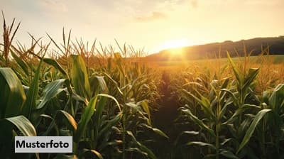 Landwirtschaftsfläche