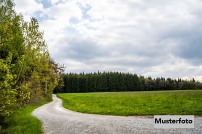 Landwirtschafts-/Waldfläche