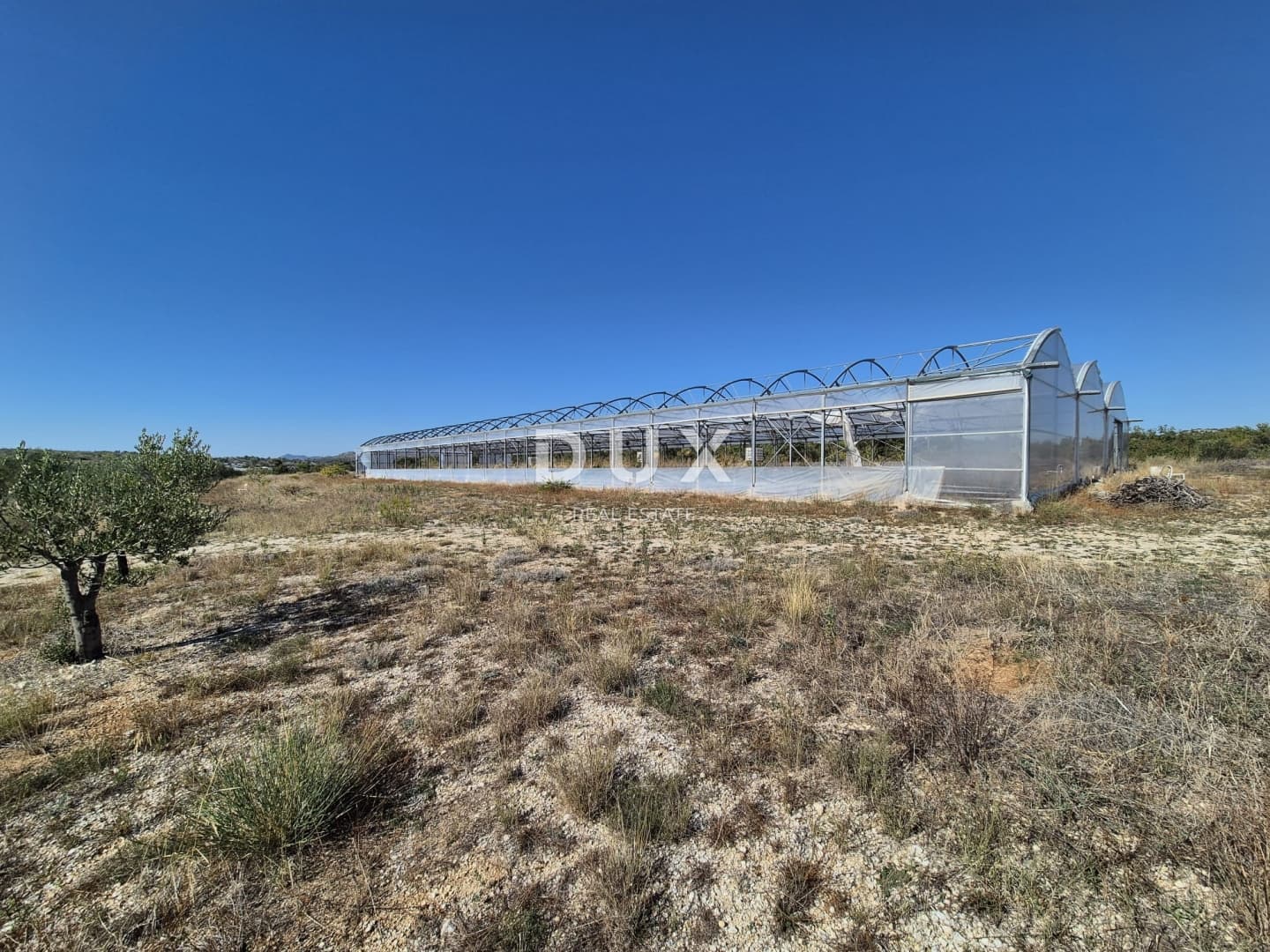 Šibenik, Martinska, landwirtschaftliche Fläche, 14.000 m²