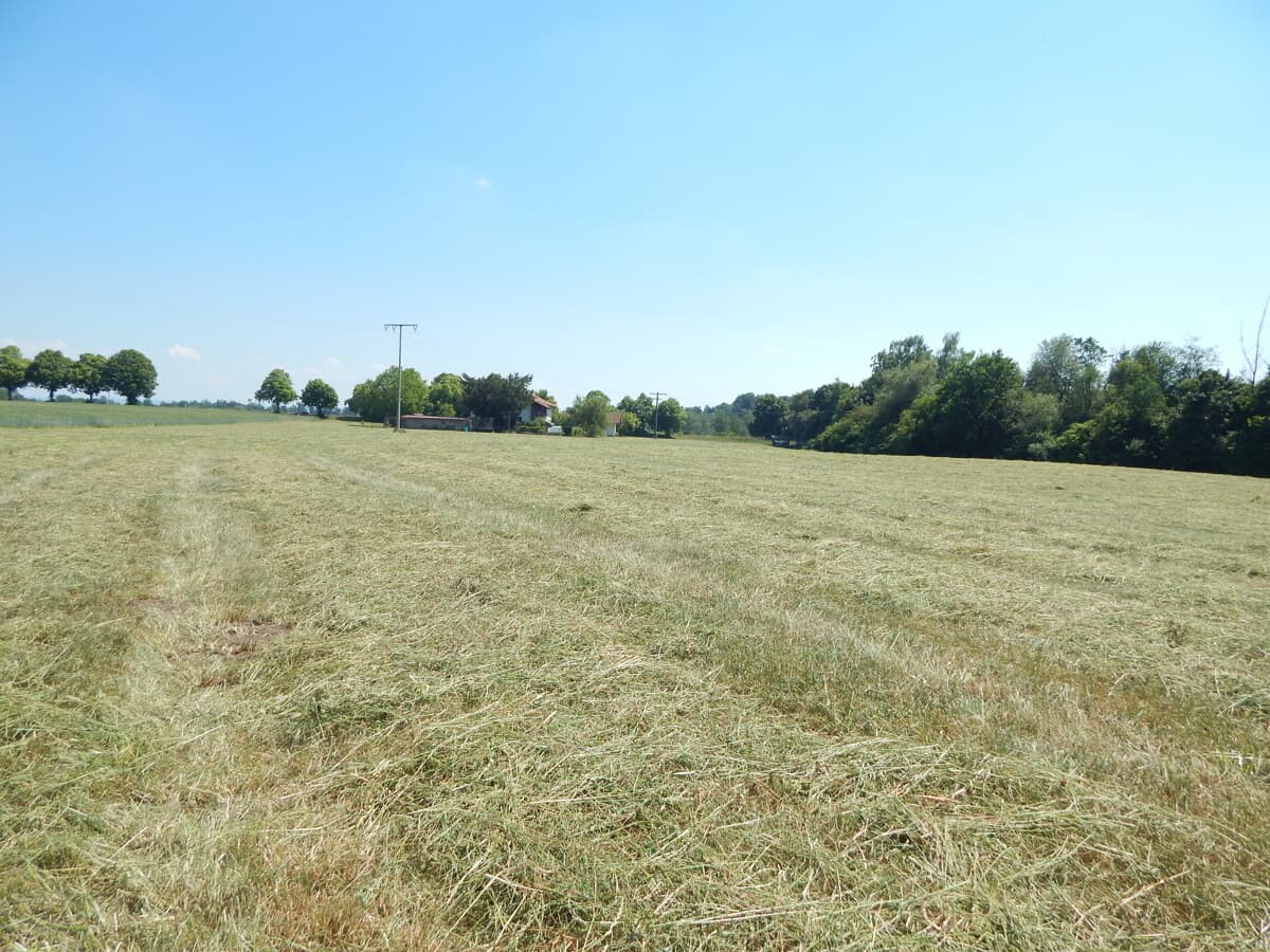 Landwirtschaftlicher Grund als Geldanlage - in 84529 Tittmoning/Südbayern, Nähe Leitgeringer See