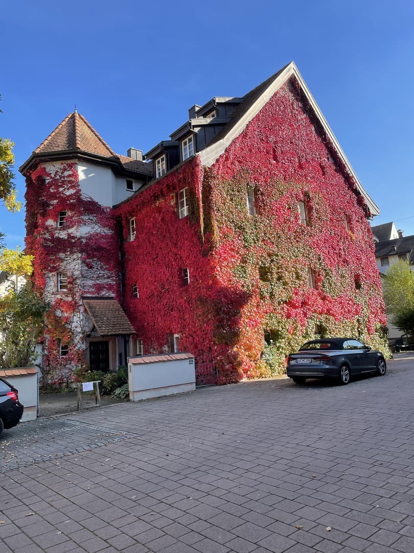 Schopfheim-Altstadt - 3 Zimmer Wohnung Dachgeschoss in Mehrfamilienhaus