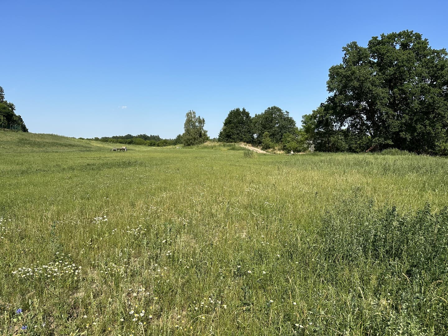 Reserviert: Ruhiges Baugrundstück in Breetze