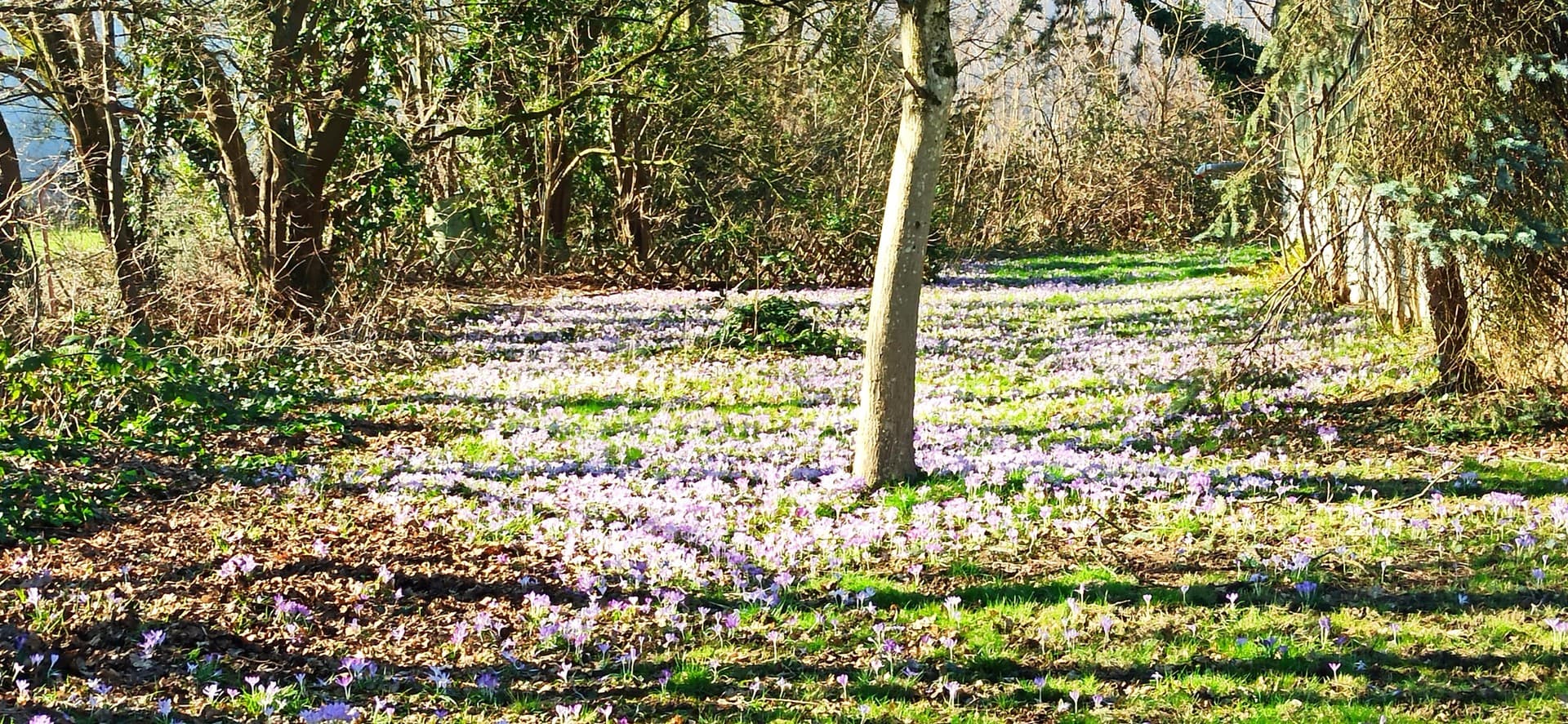 Zentral und Natur nah