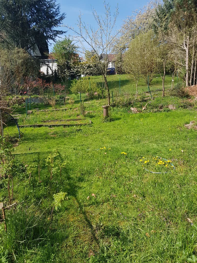 Baugrundstück in Neckargemünd/Waldhilsbach zu Verkaufen