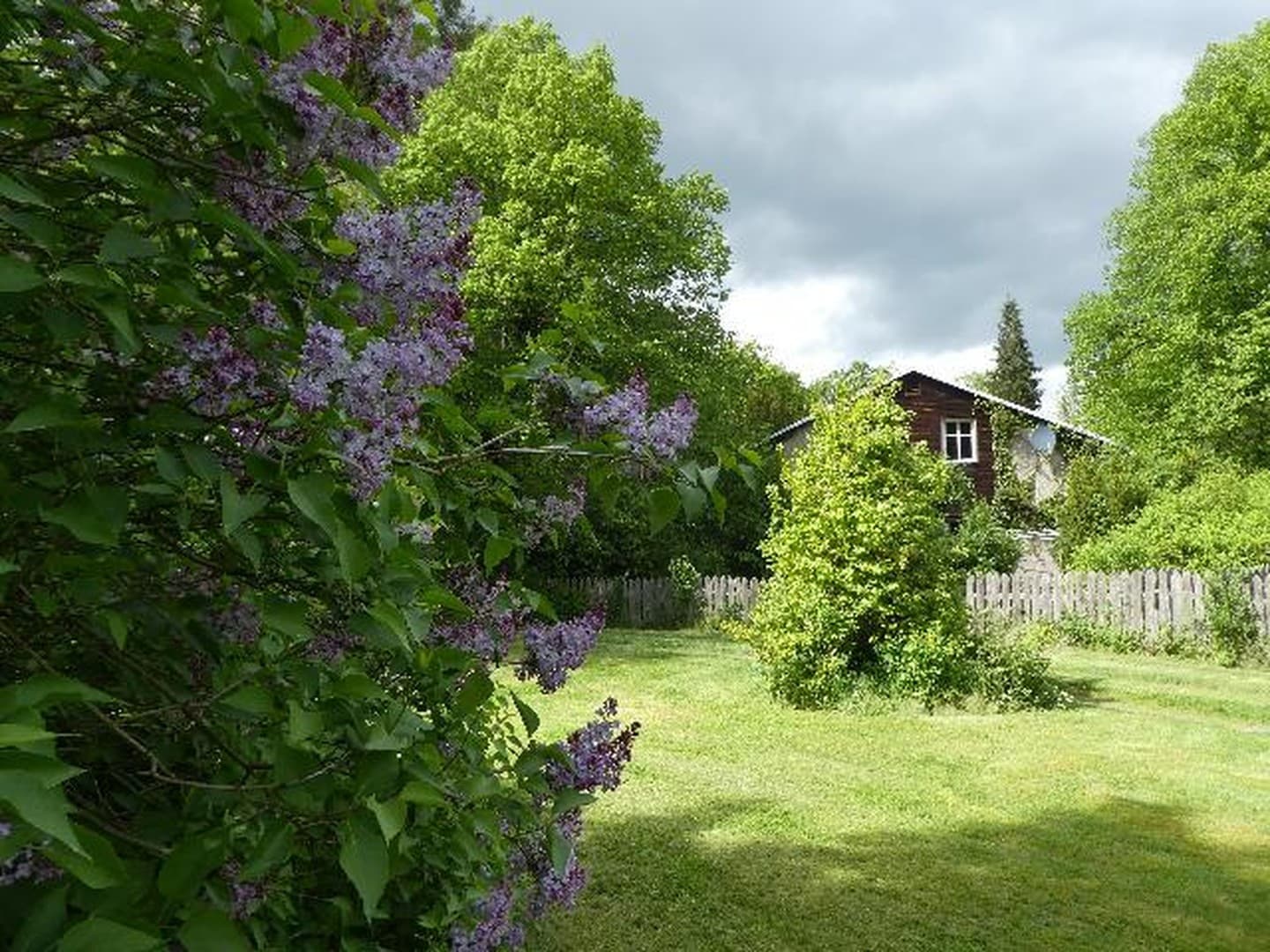 Forsthaus Metzelthin - wohnen und arbeiten im Naturpark Uckermärkische Seen