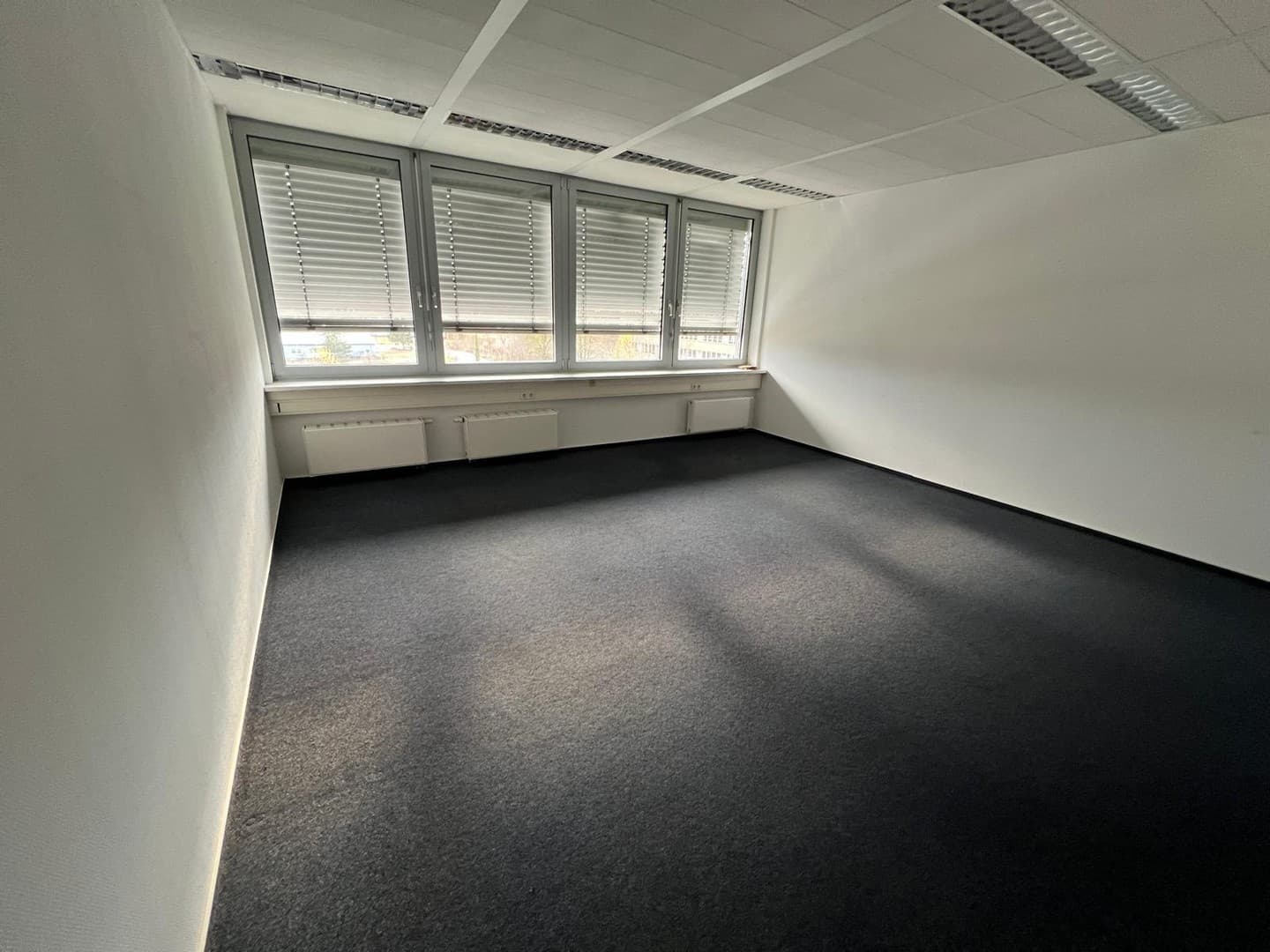 20-150 m² Büroräume in bester Lage in Güstrow zu Vermieten!