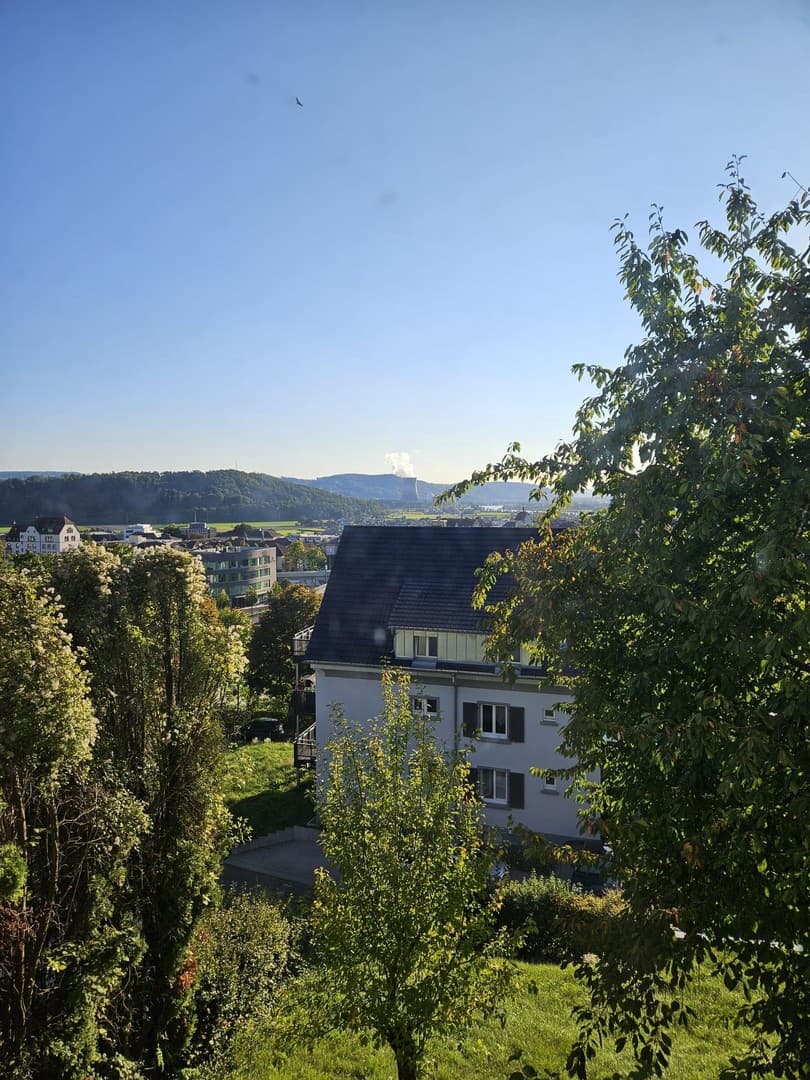 Renovierte, zentralgelegene 1-Zi. Whg. mit Balkon und Alpensicht
