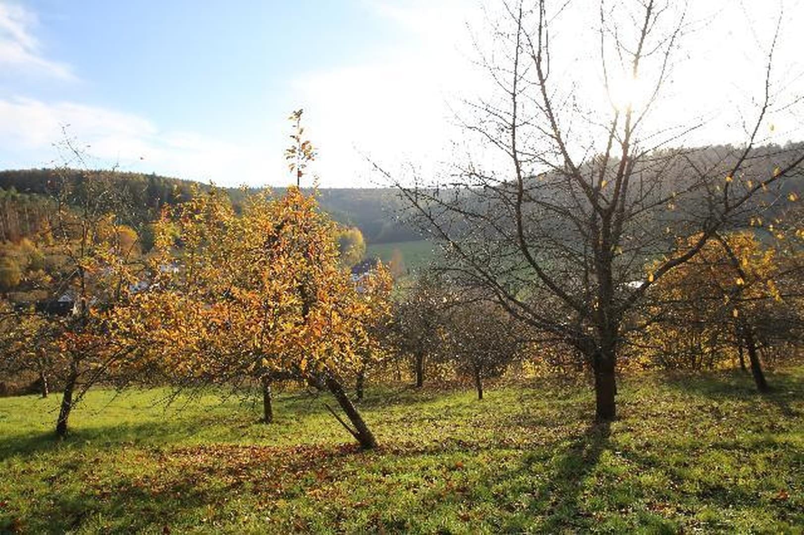 Teilungsversteigerung 21.10.26 -EFH BAULAND-3398qm-TEILBAR, ruhige Süd-West Lage, Erschlossen