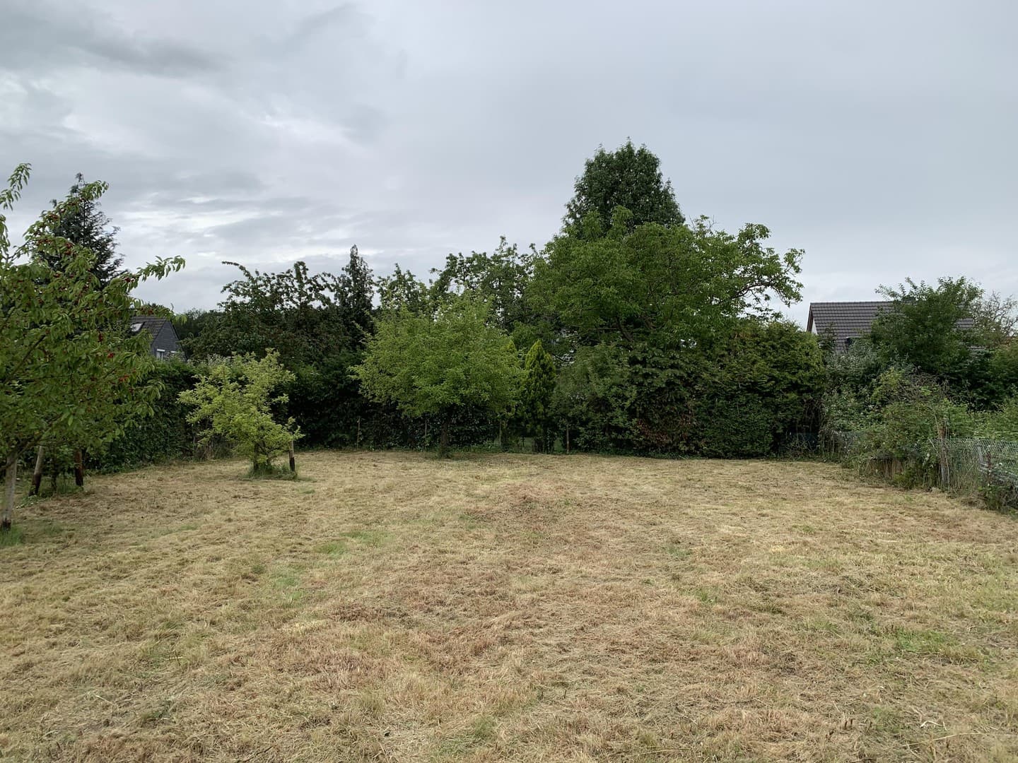 Baugrundstück am Kottenforst: 873 m² mit Süd-/Südwestlage in Bonn-Ippendorf – provisionsfrei