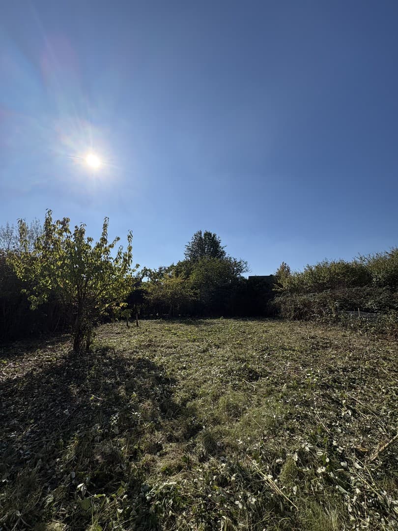 Baugrundstück am Kottenforst: 873 m² mit Süd-/Südwestlage in Bonn-Ippendorf – provisionsfrei