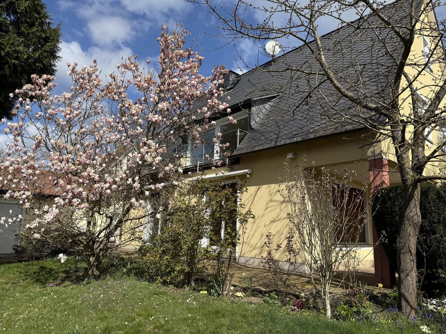 Villenlage Bad Homburg - unverbaubar