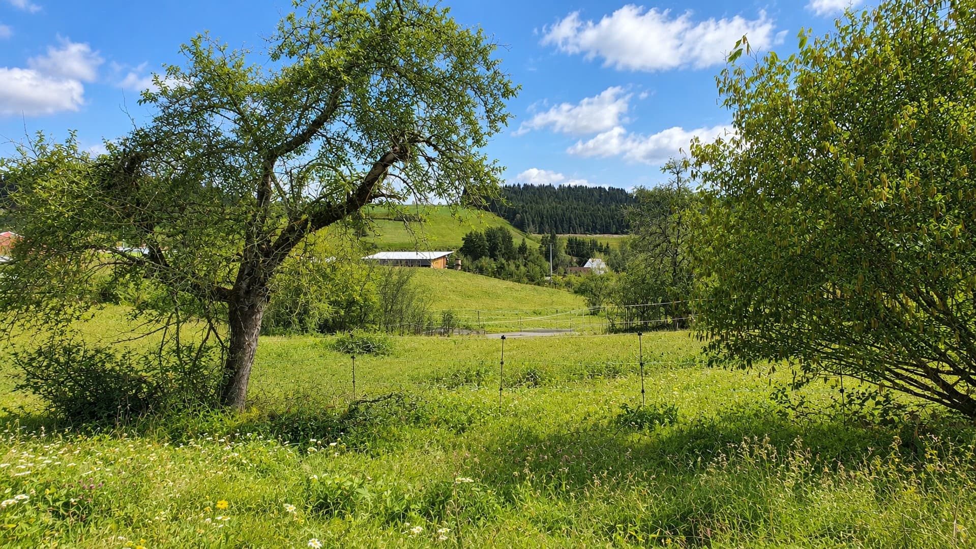 2.443 m² Baugrundstück mit positivem Bauvorbescheid – viel Platz & Weitblick