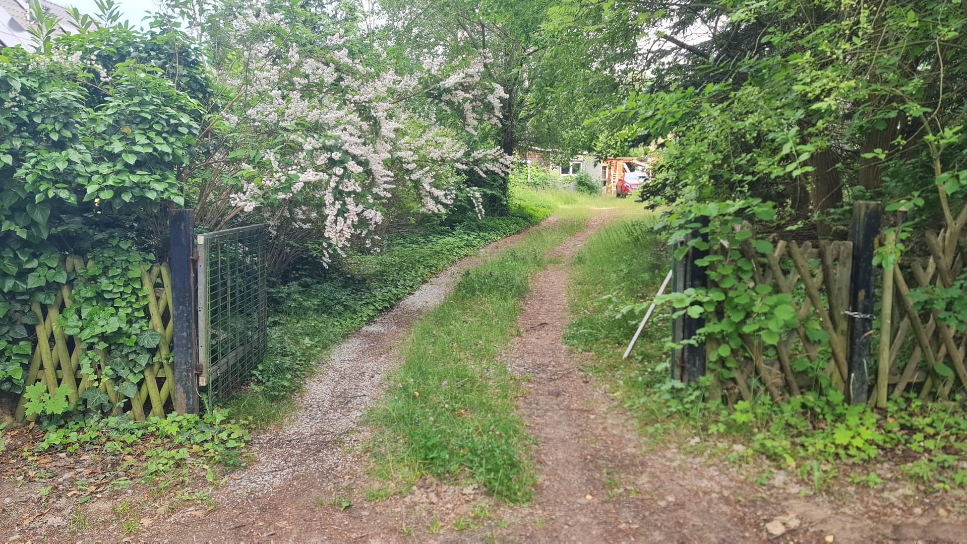 Baugrundstück zwischen Wald and Seen mit guter Anbindung nach Berlin