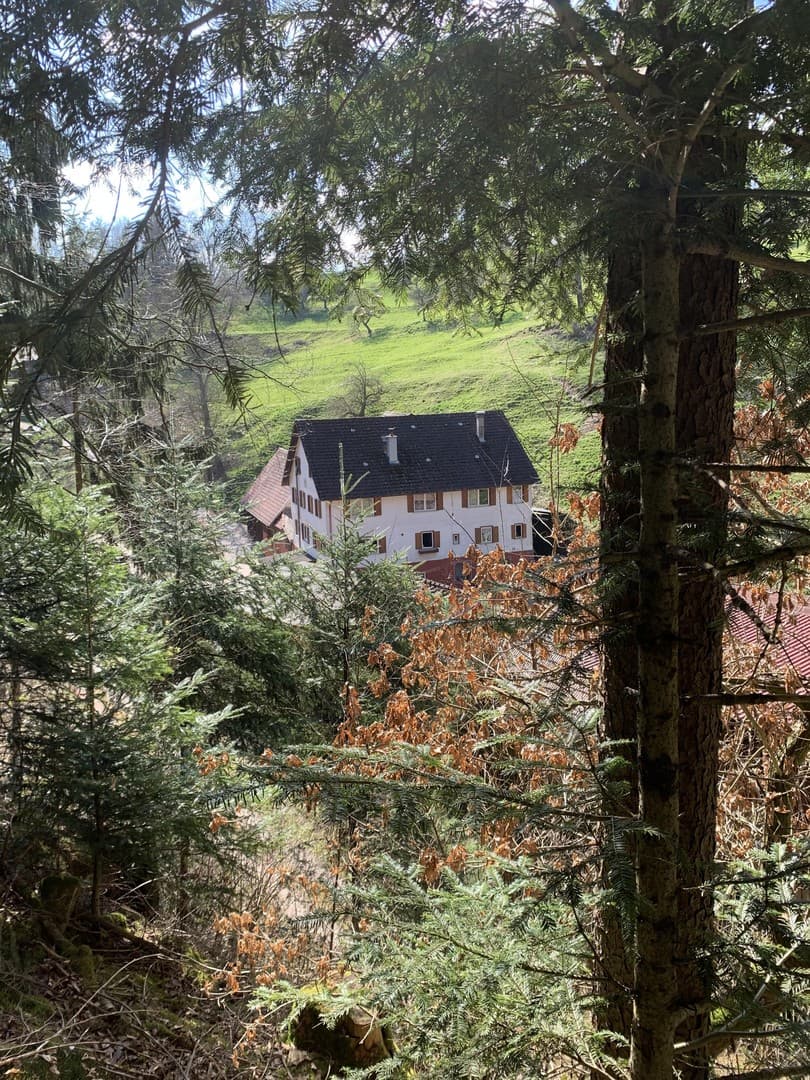 Bauernhaus / ehemalige Getreidemahlmühle in Alleinlage zu verkaufen