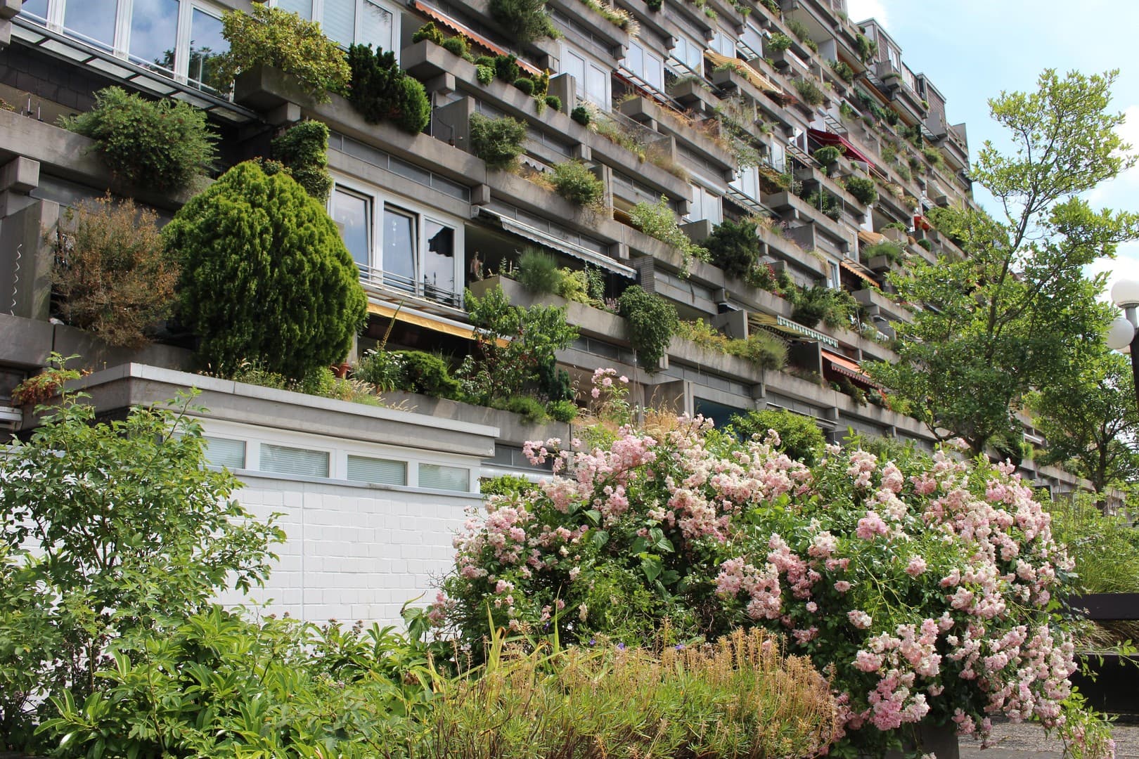 Wunderschöne 4-Zimmer Wohnung über 3 Ebenen im Terrassenhaus Hannover