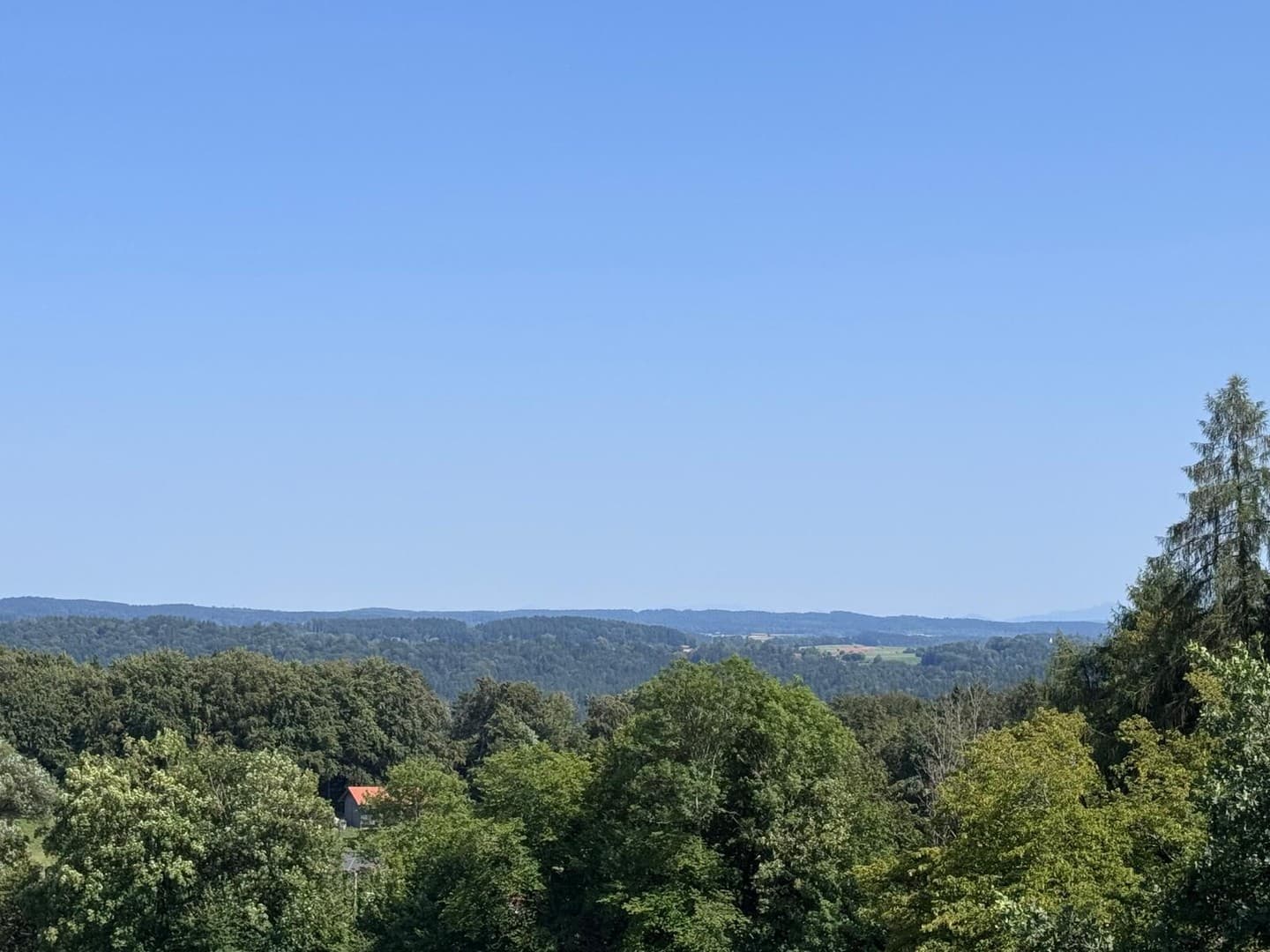 Von privat - Einfamilienhaus mit Einliegerwohnung auf großzügigem Grundstück (renovierungsbedürftig)