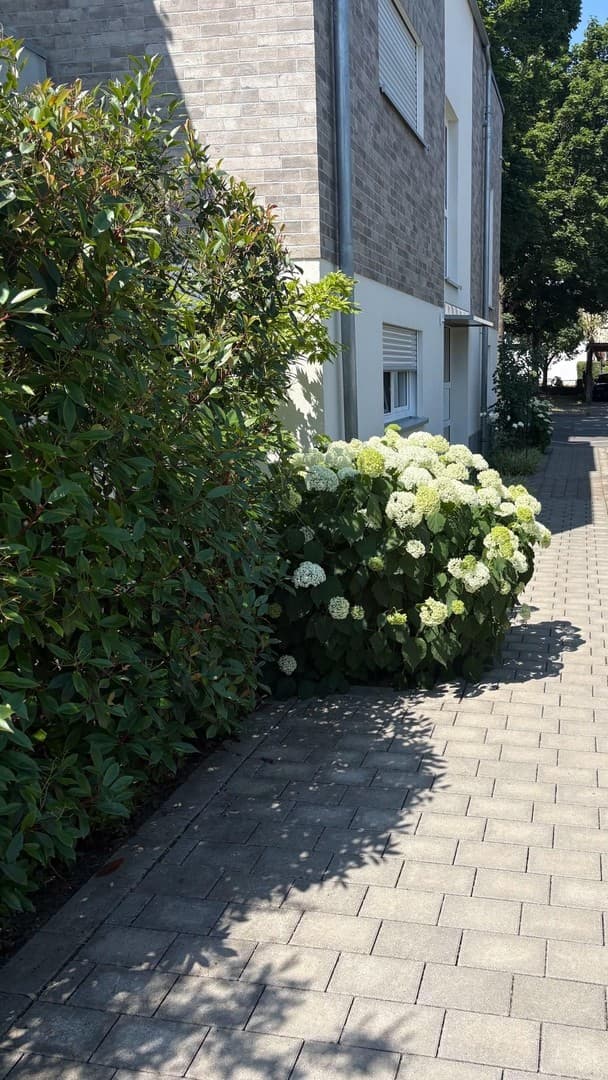 Neubau-modern, stilvolle 3-Zimmer-Wohnung