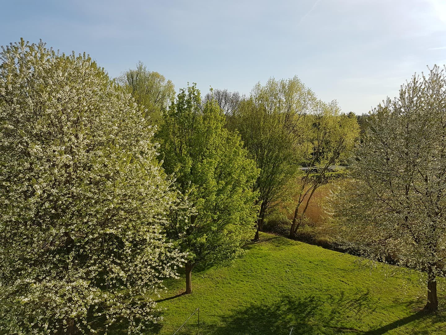 Südbalkon, freier Blick ins Grüne, 4Raumwohnung