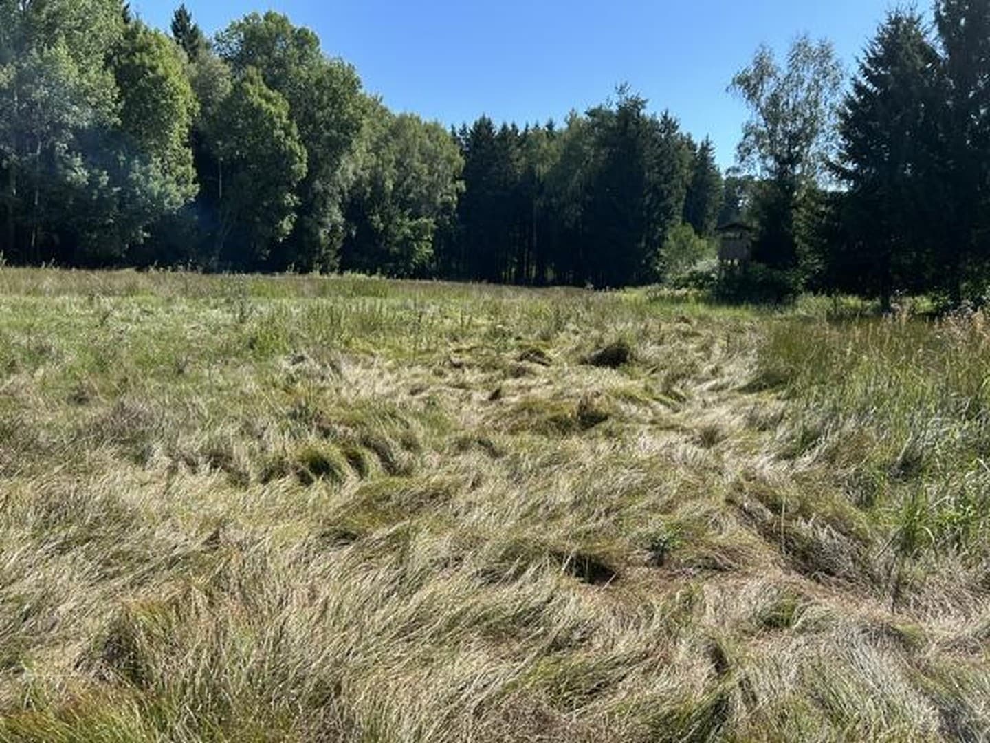 Ländliches Paradies/ Wald-Wiese-Wasser