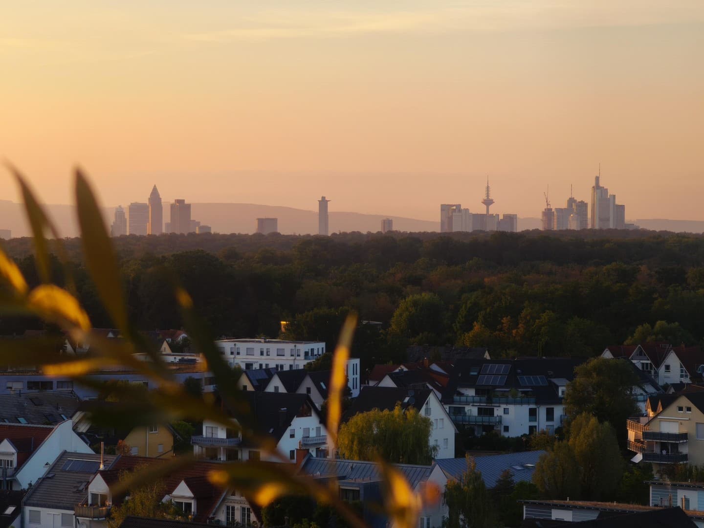 2 Zimmer Wohnung 65 m² im 11. OG mit spektakulärem Weitblick – Skyline, Taunus & Flughafen