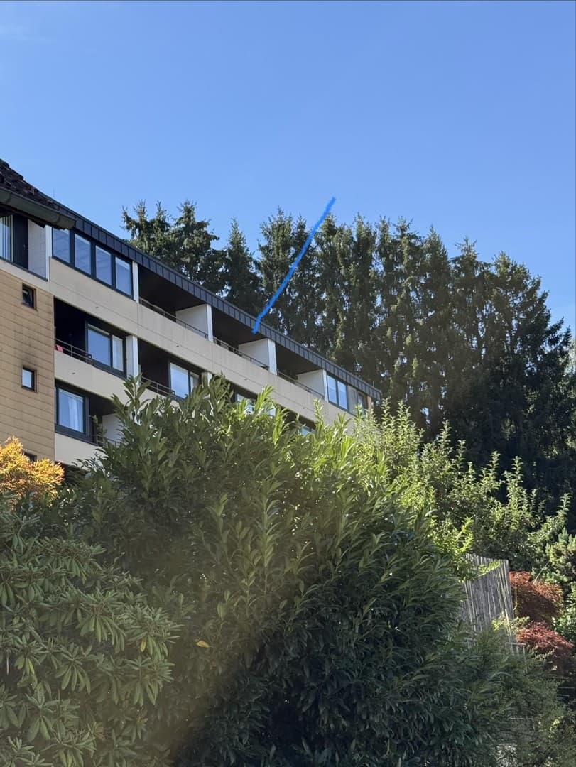Appartment mit traumhafter Aussicht im Sternedorf Baiersbronn