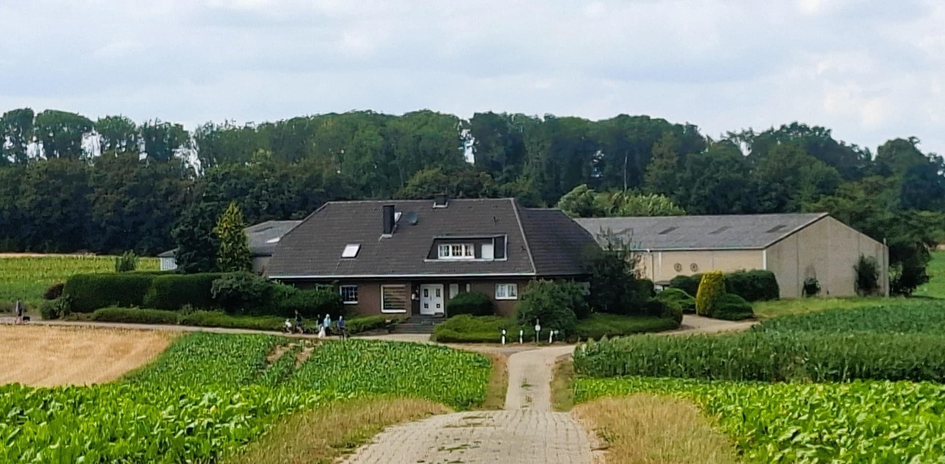 Aussiedlerhof - Resthof - großes Wohnhaus mit Einliegerwohnung, Hof und Hallen