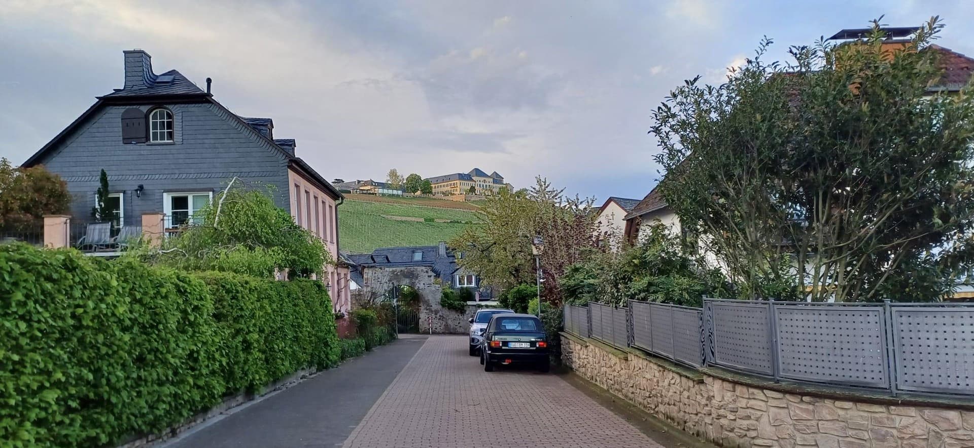 Familienidyll mit Blick auf Schloss Johannisberg