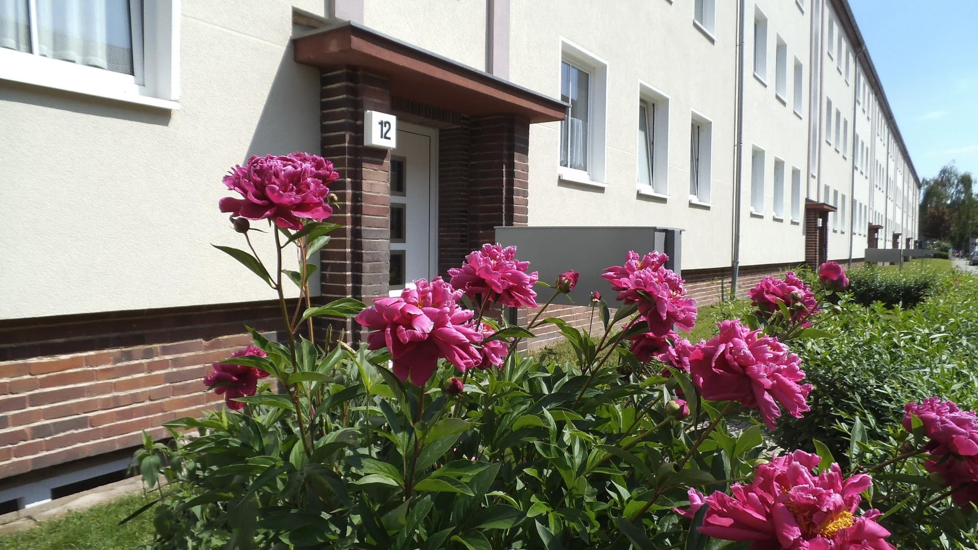 2-Raum Wohnung / Stadtfeld West / 65m²