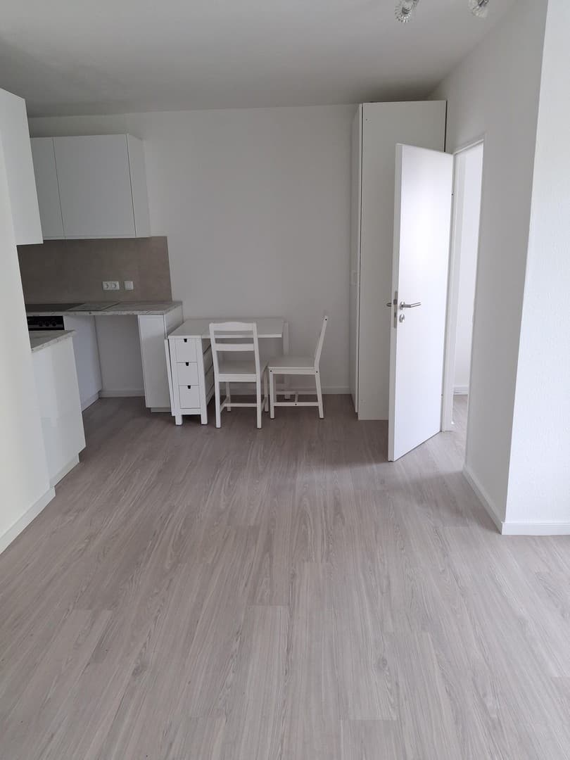 Schöne ganz neu sanierte kleine Wohnung