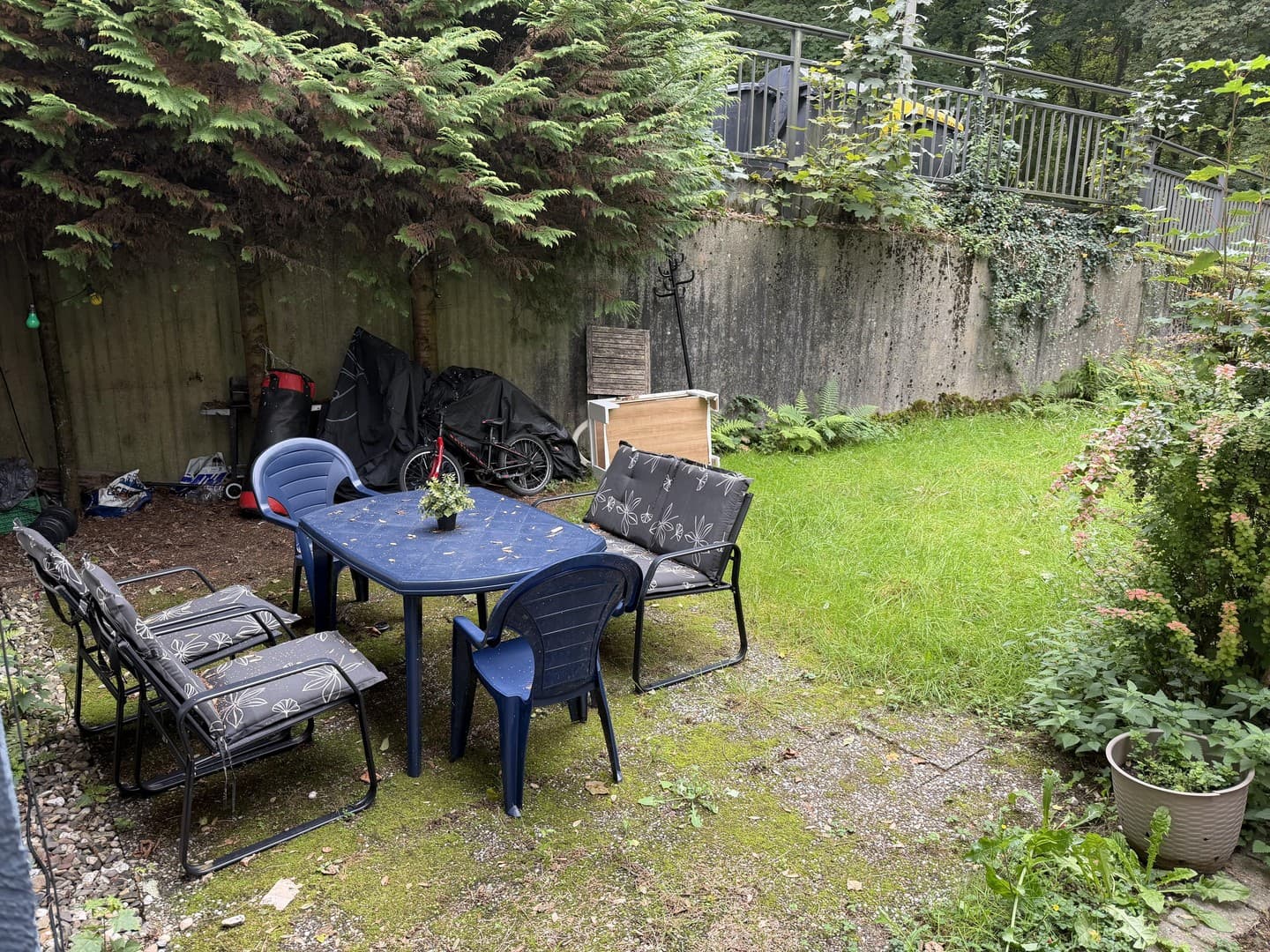 2Zi KDB mit Garten, Solingen Wald, Waldrand, Renoviert, auf Wunsch mit Einbauküche für kleines Geld