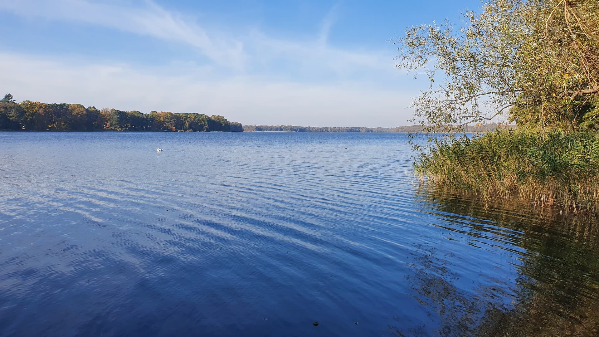 Motzen Am See Helle ruhige 2 Zimmer Dachwohnung im 1.OG mit Blick ins Grüne, Einbauküche, gr. Balkon