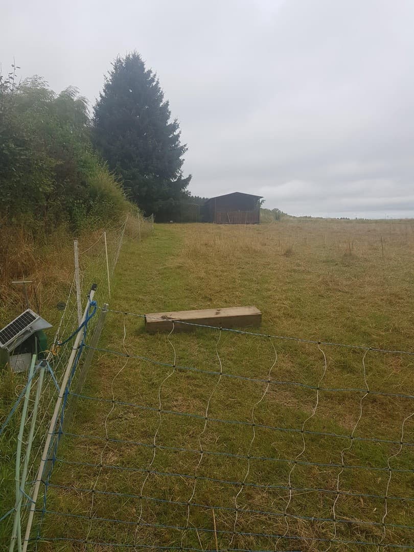Wunderschönes Grundstück im Grünen