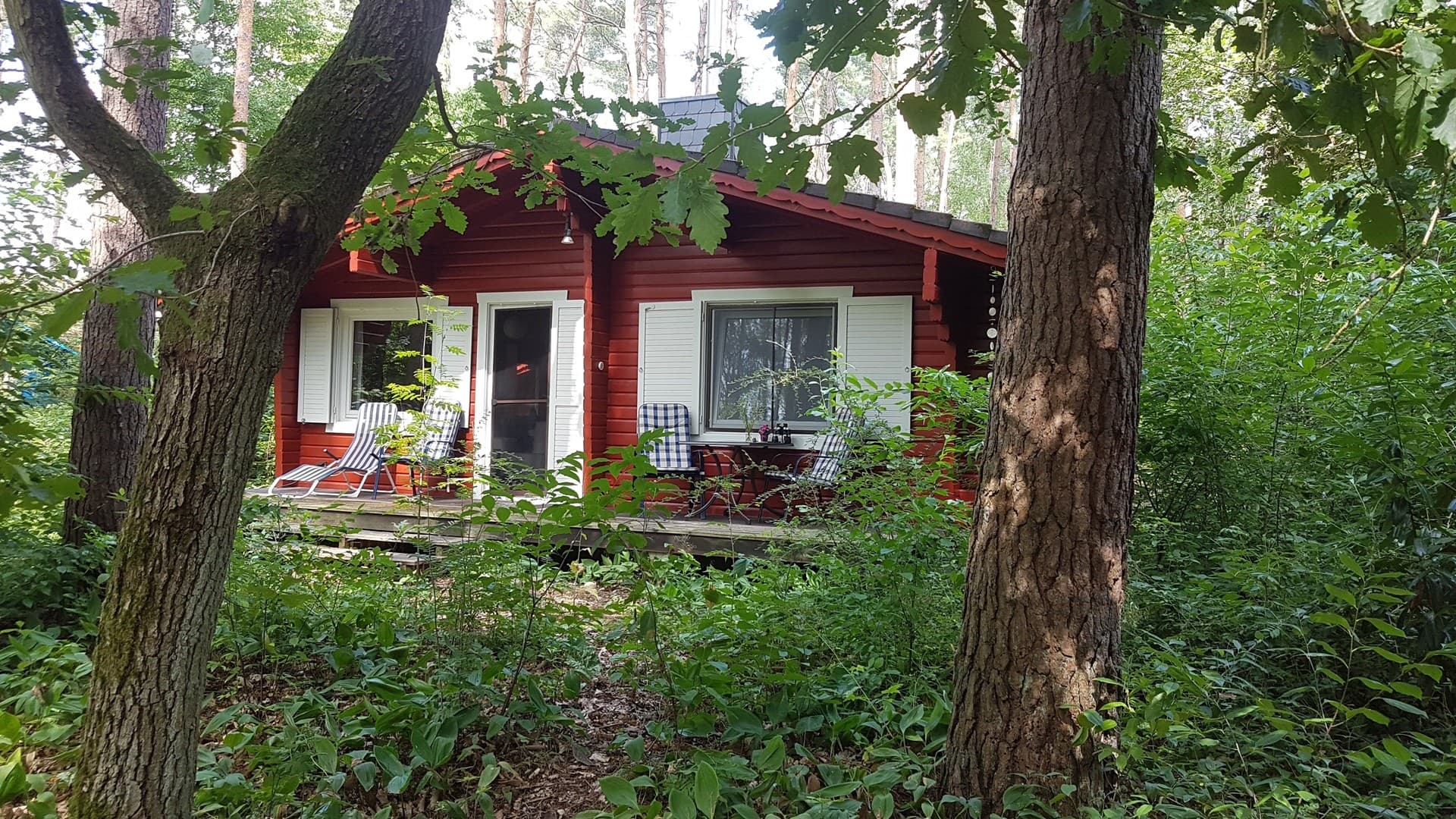 Zwei Blockbohlenhäuser Häuser im Wald, Ferienvermietung & Wohnen im Biosphärenreservat Elbtalaue