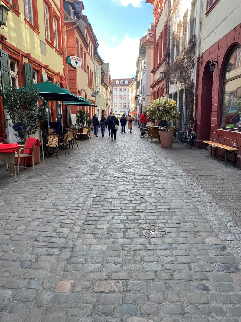 Wohnung mit Terrasse im Herzen Heidelberg Altstadt